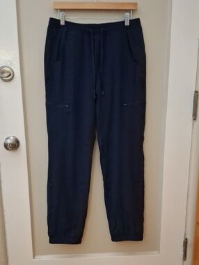 NWT Eddie Bauer Fleece Lined Navy Drawstring Jogger Pants_1